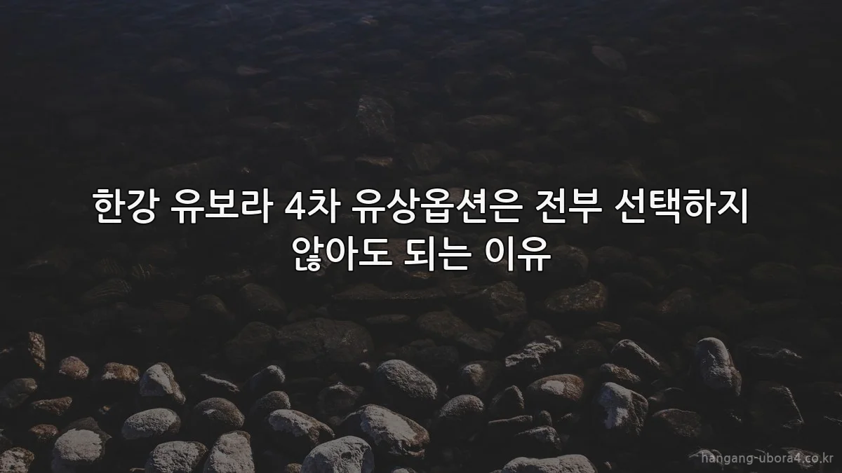 한강 유보라 4차 유상옵션은 전부 선택하지 않아도 되는 이유