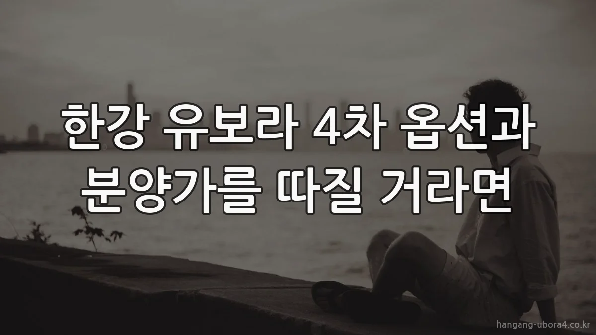 한강 유보라 4차 옵션과 분양가를 따질 거라면