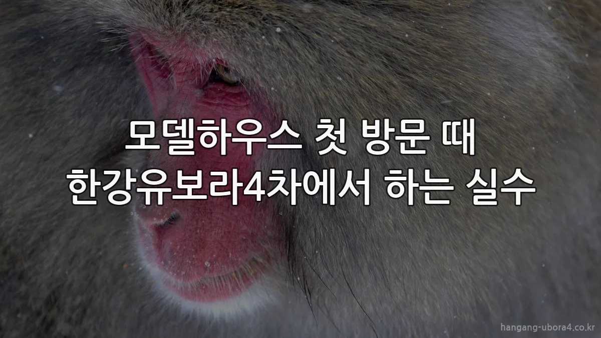 모델하우스 첫 방문 때 한강유보라4차에서 하는 실수