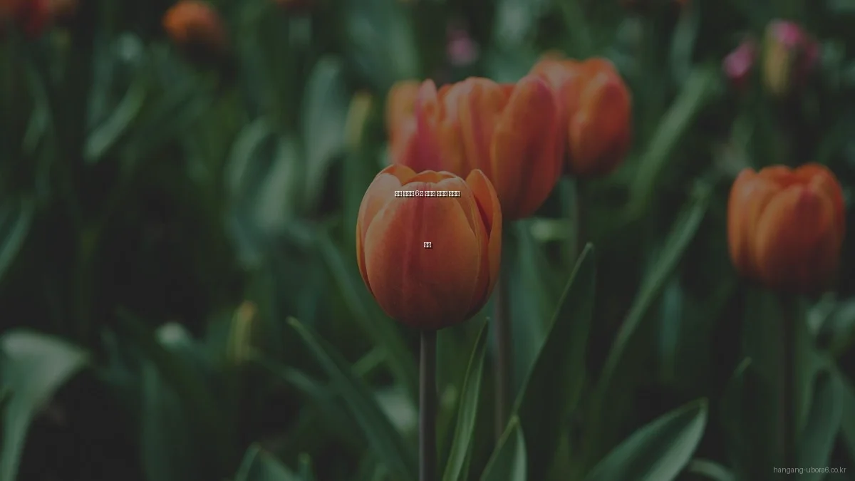 한강 유보라 6차 아파트 생활의 장단점 분석