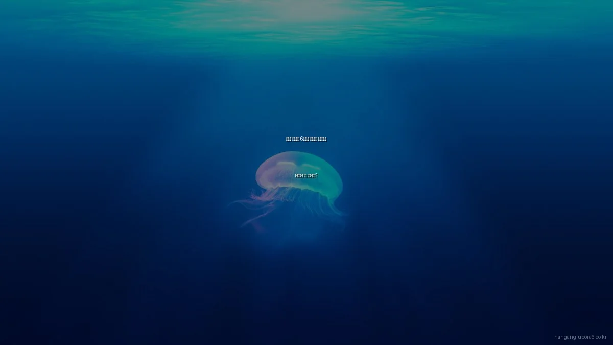 한강 유보라 6차와 한강뷰 아파트, 무엇이 더 좋을까?