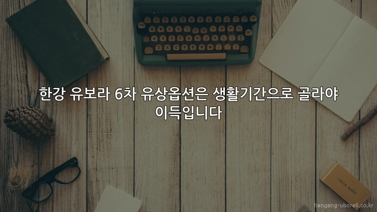 한강 유보라 6차 유상옵션은 생활기간으로 골라야 이득입니다