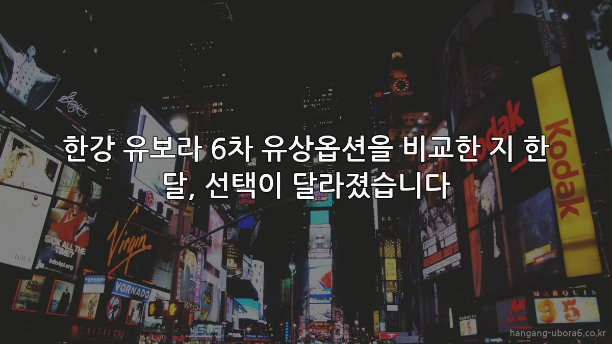 한강 유보라 6차 유상옵션을 비교한 지 한 달, 선택이 달라졌습니다
