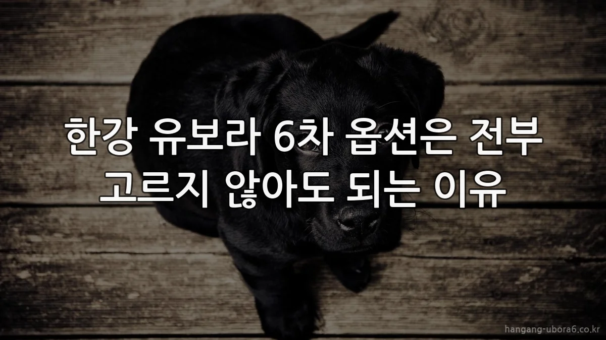 한강 유보라 6차 옵션은 전부 고르지 않아도 되는 이유