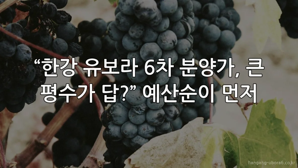 “한강 유보라 6차 분양가, 큰 평수가 답?” 예산순이 먼저