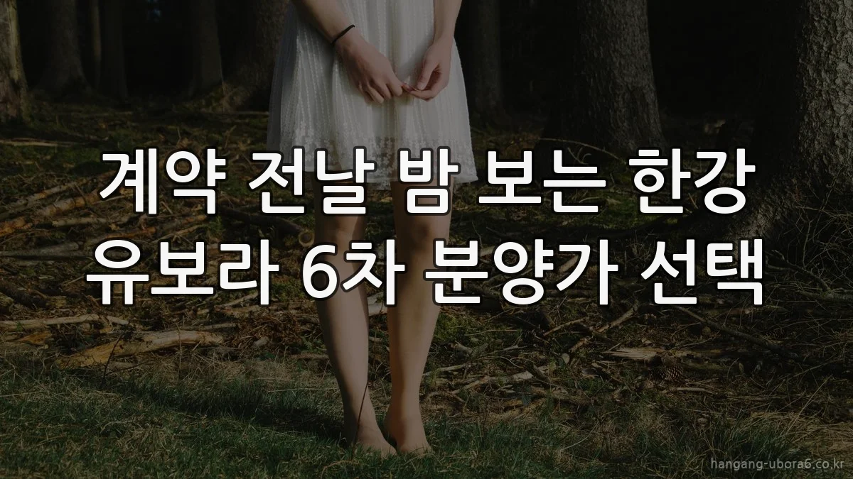 계약 전날 밤 보는 한강 유보라 6차 분양가 선택