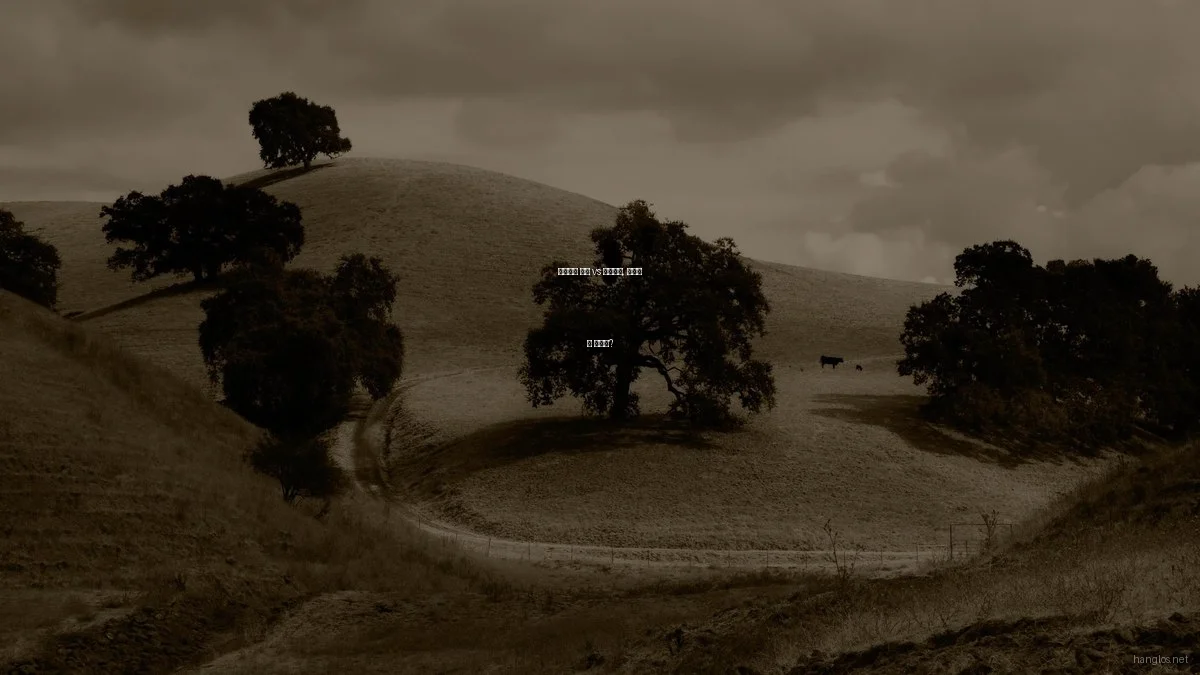 여유로운 여행 vs 홈스테이, 무엇이 더 좋을까?