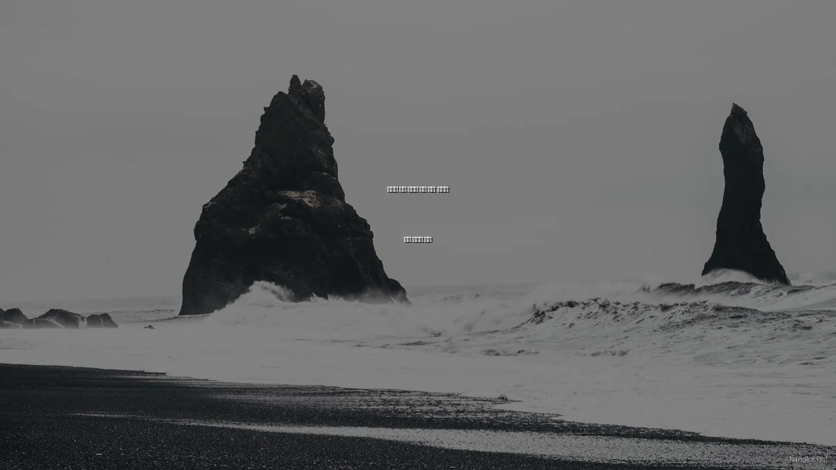 최고의 여행 필수품 비교 분석: 여행의 질을 높이는 선택