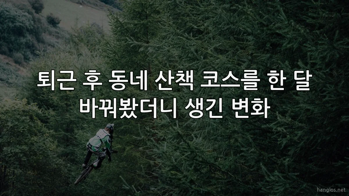 퇴근 후 동네 산책 코스를 한 달 바꿔봤더니 생긴 변화
