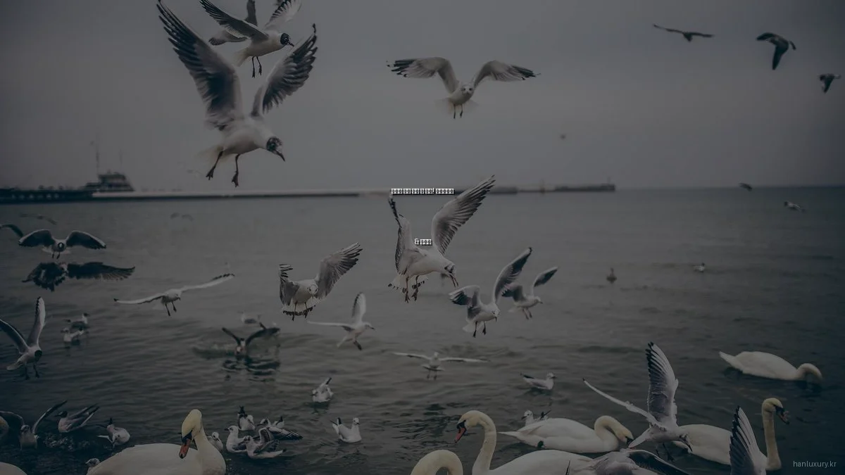 럭셔리 패션 쇼핑 전 필독! 체크리스트 & 가이드