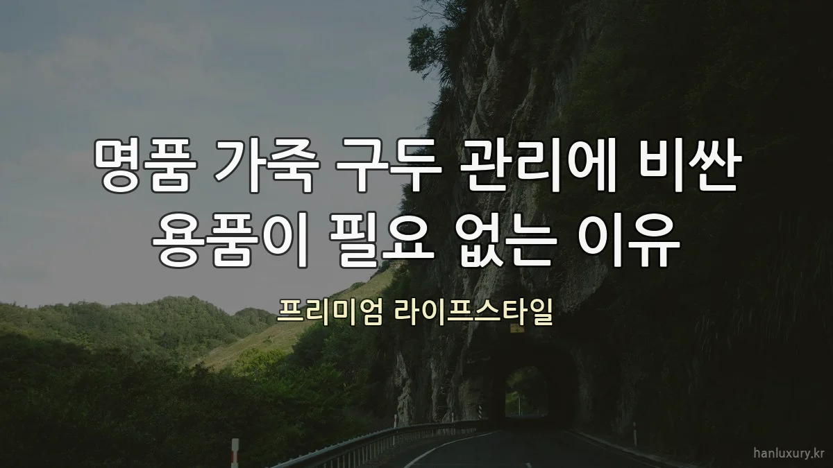 명품 가죽 구두 관리에 비싼 용품이 필요 없는 이유