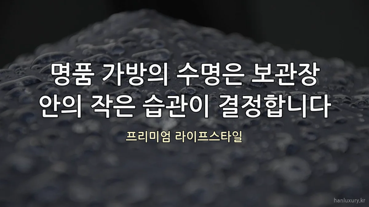 명품 가방의 수명은 보관장 안의 작은 습관이 결정합니다