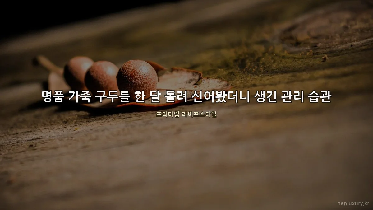 명품 가죽 구두를 한 달 돌려 신어봤더니 생긴 관리 습관