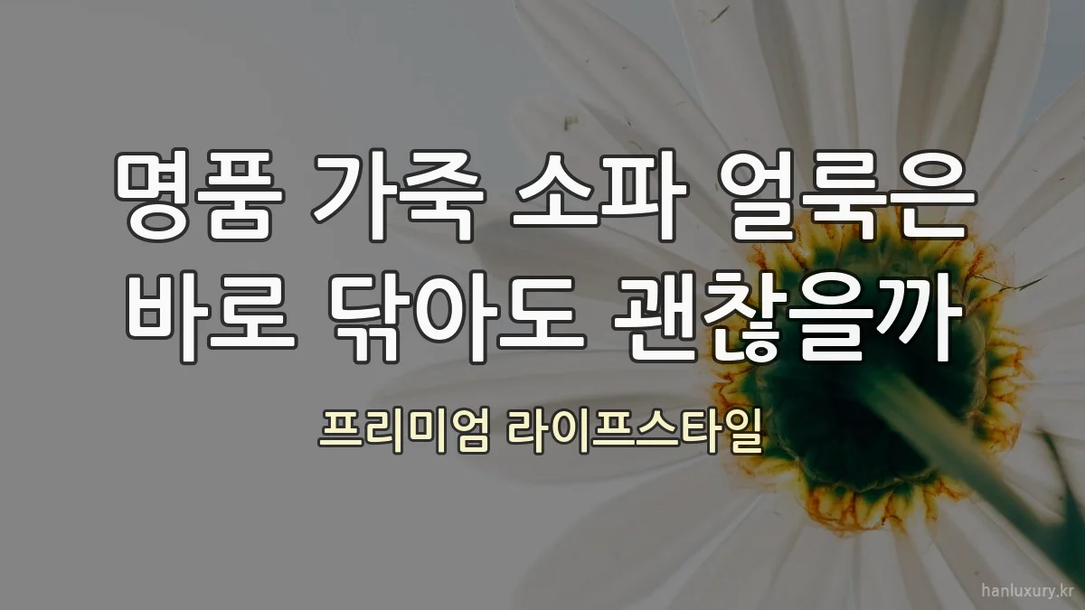 명품 가죽 소파 얼룩은 바로 닦아도 괜찮을까