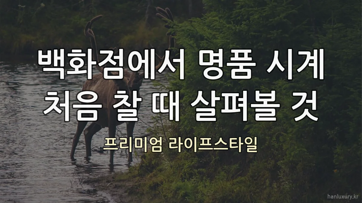 백화점에서 명품 시계 처음 찰 때 살펴볼 것