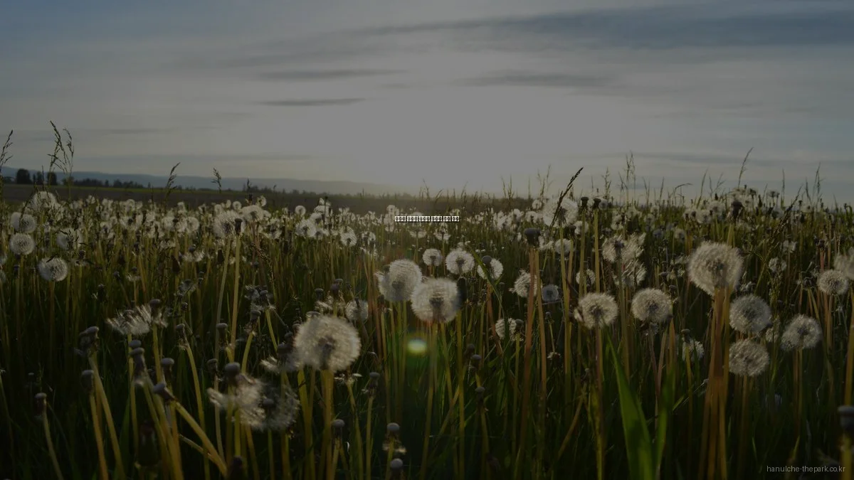 한울채 더파크 아파트 예산별 추천 플랜