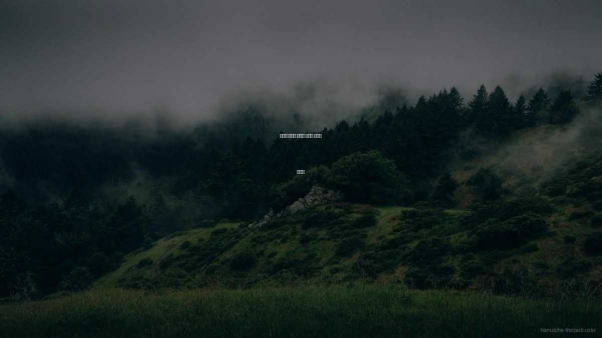 한울채 더파크 아파트 예산별 분양가 가이드