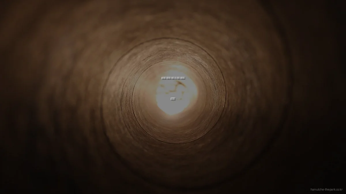 한울채 더파크 분양 시 흔한 실수와 해결책