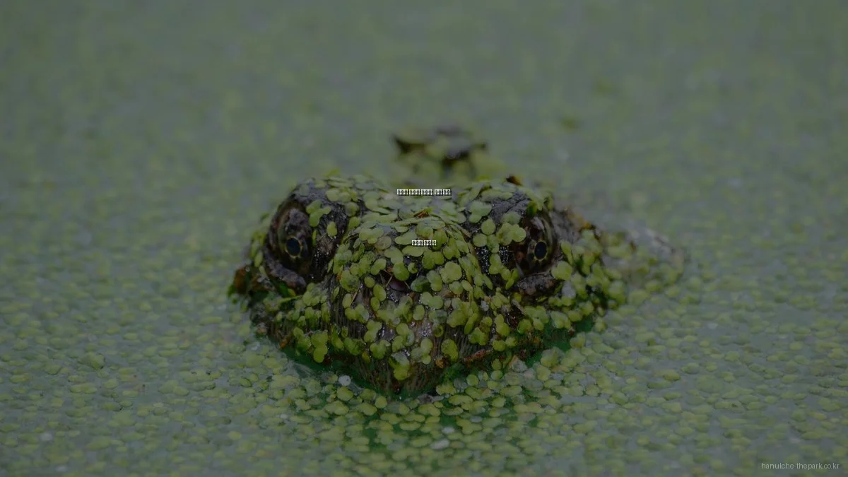 한울채 더파크 아파트, 실제 거주 후기와 분양 팁