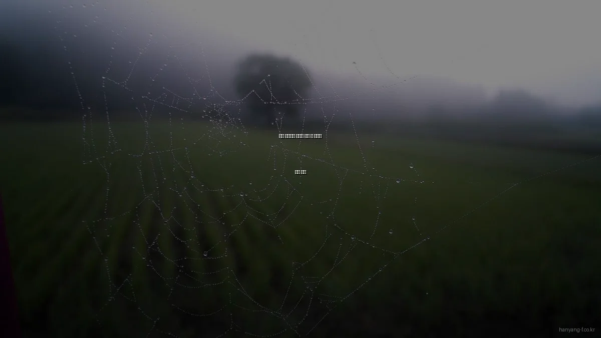 한양 포레스트 아파트 선택 시 장단점 비교 분석