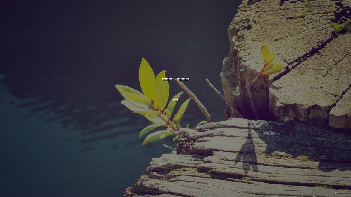 초보자를 위한 HG 자이 아파트 선택 가이드