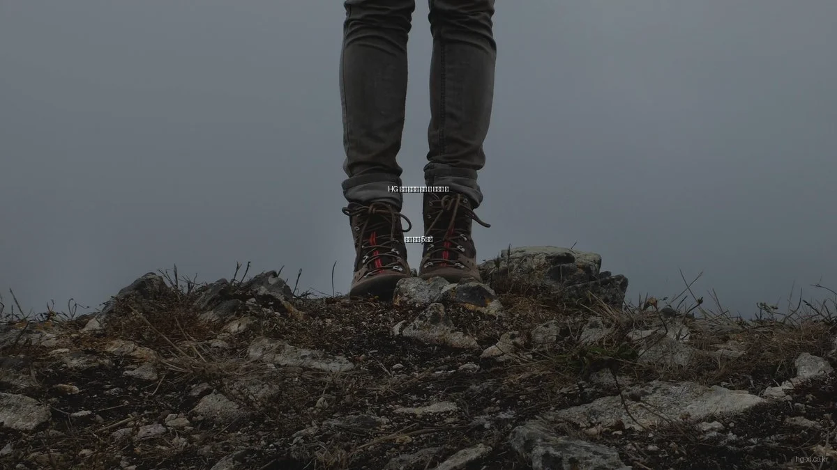 HG 자이 아파트 분양 시 피해야 할 흔한 실수 5가지