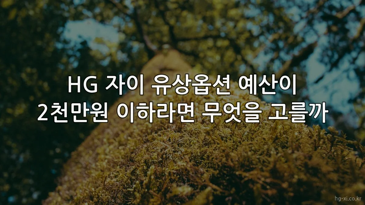 HG 자이 유상옵션 예산이 2천만원 이하라면 무엇을 고를까