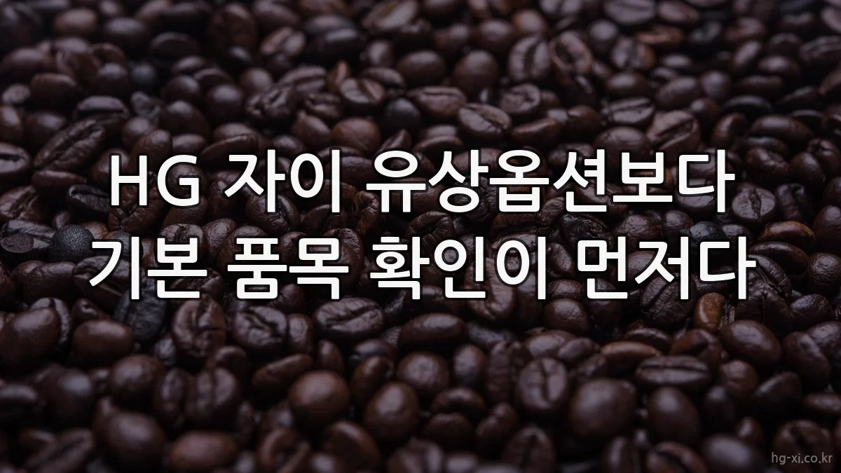 HG 자이 유상옵션보다 기본 품목 확인이 먼저다