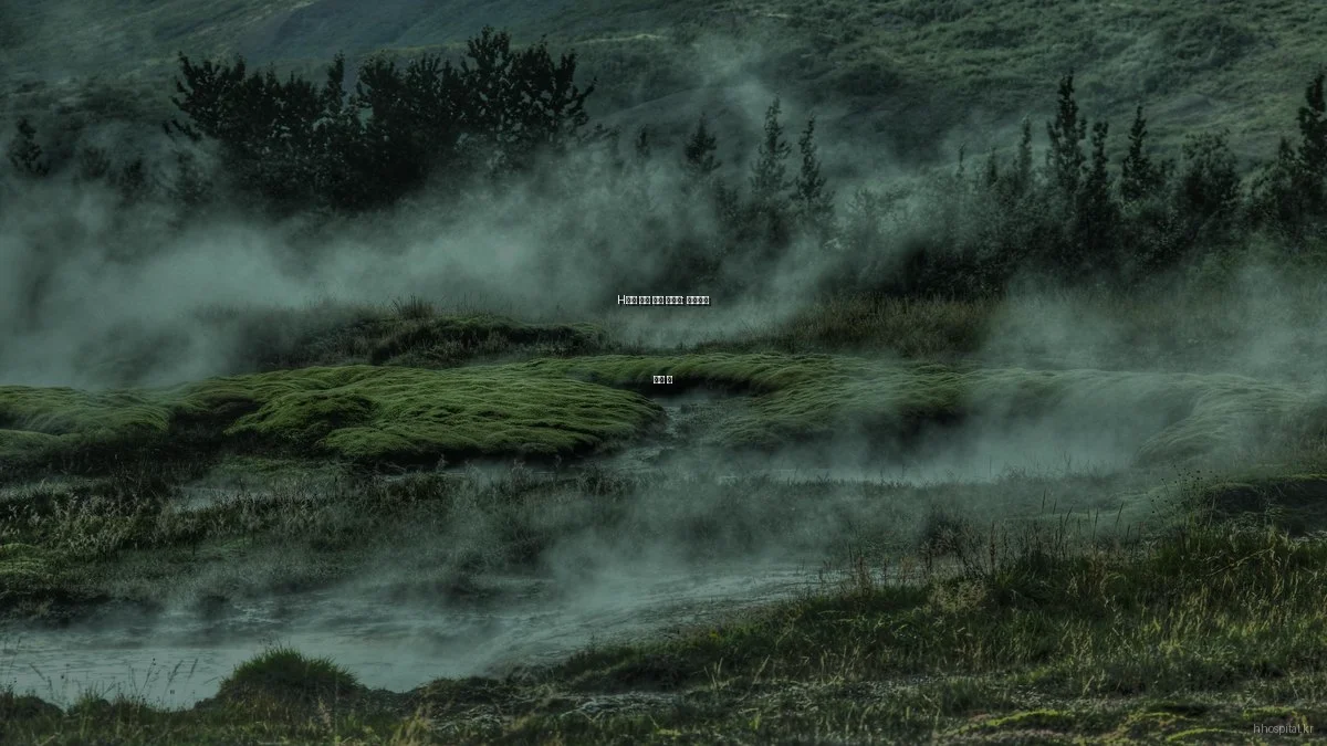 H병원 실제 진료 경험담: 장단점과 추천 팁