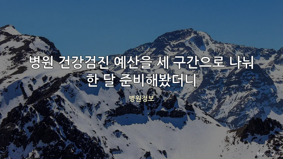 병원 건강검진 예산을 세 구간으로 나눠 한 달 준비해봤더니