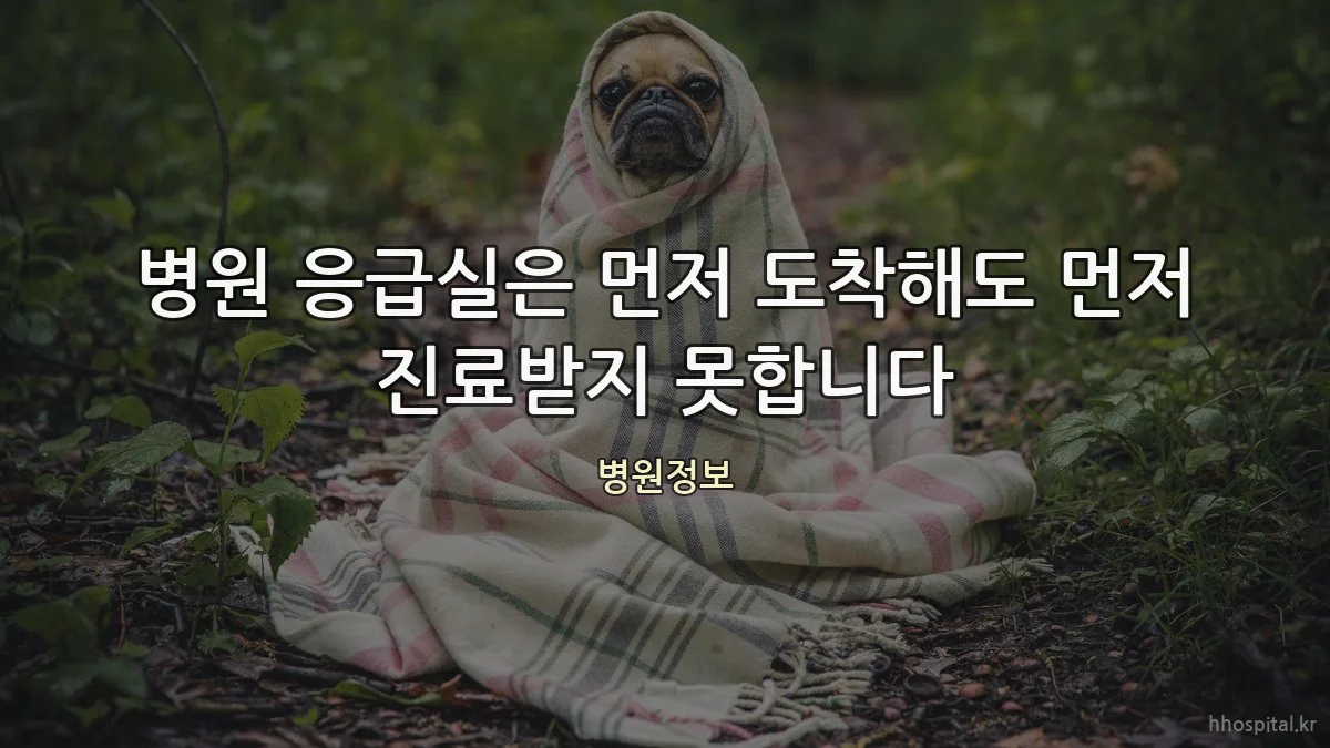 병원 응급실은 먼저 도착해도 먼저 진료받지 못합니다