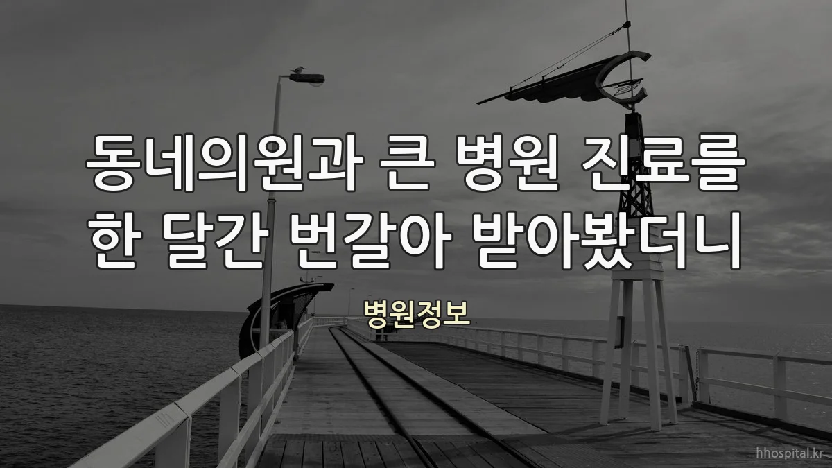 동네의원과 큰 병원 진료를 한 달간 번갈아 받아봤더니