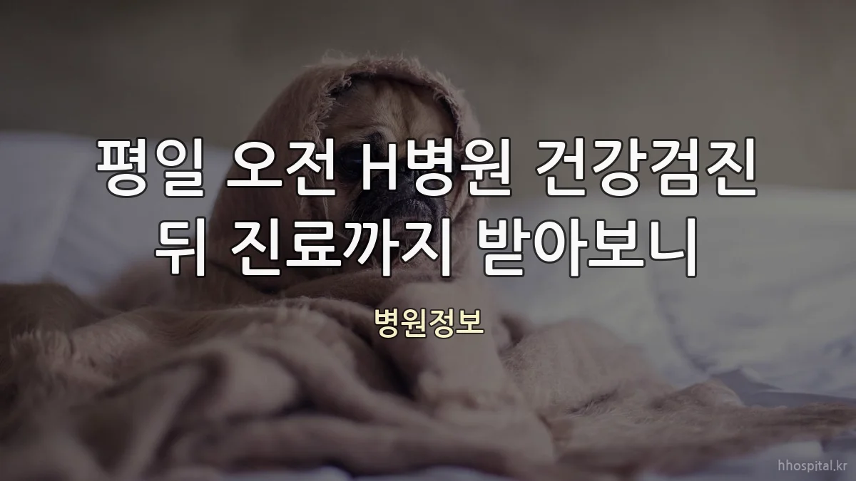 평일 오전 H병원 건강검진 뒤 진료까지 받아보니