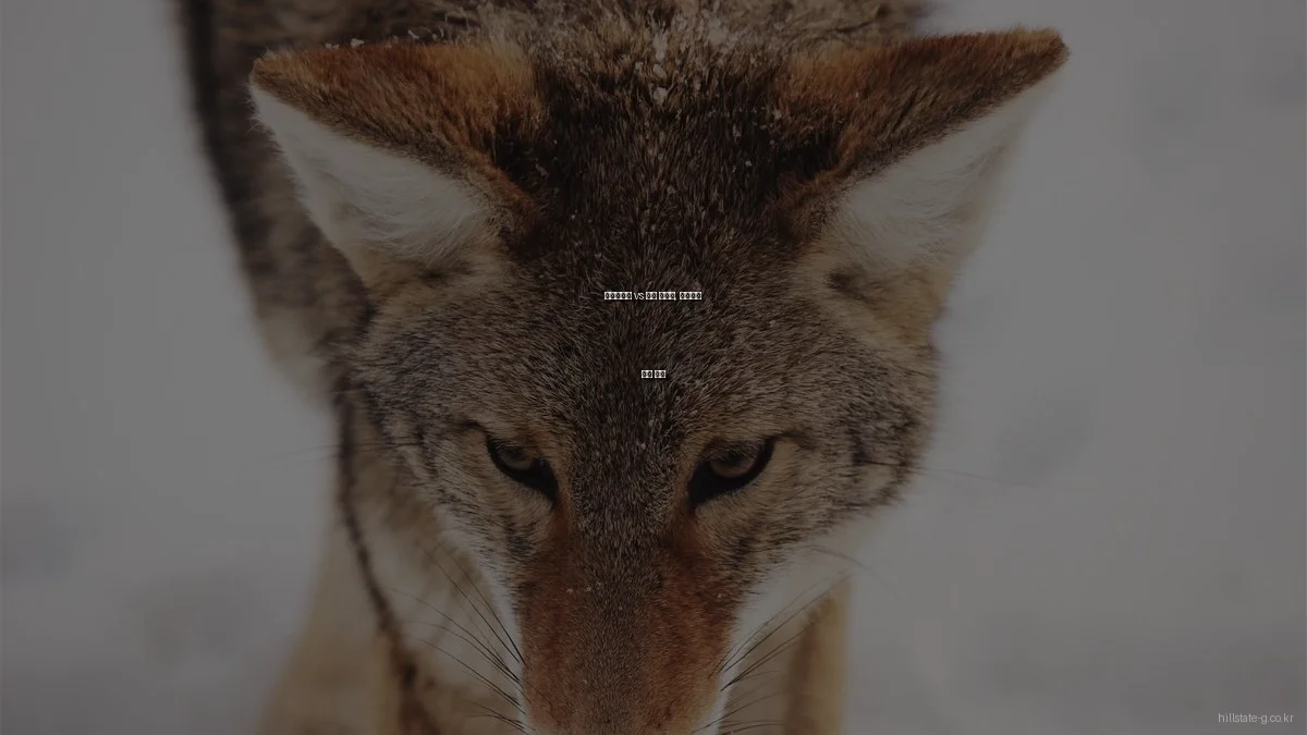 힐스테이트 vs 타사 아파트, 프리미엄 비교 분석