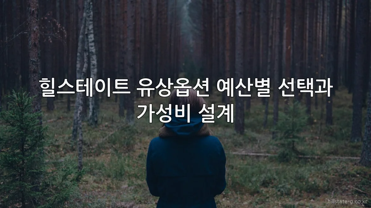 힐스테이트 유상옵션 예산별 선택과 가성비 설계