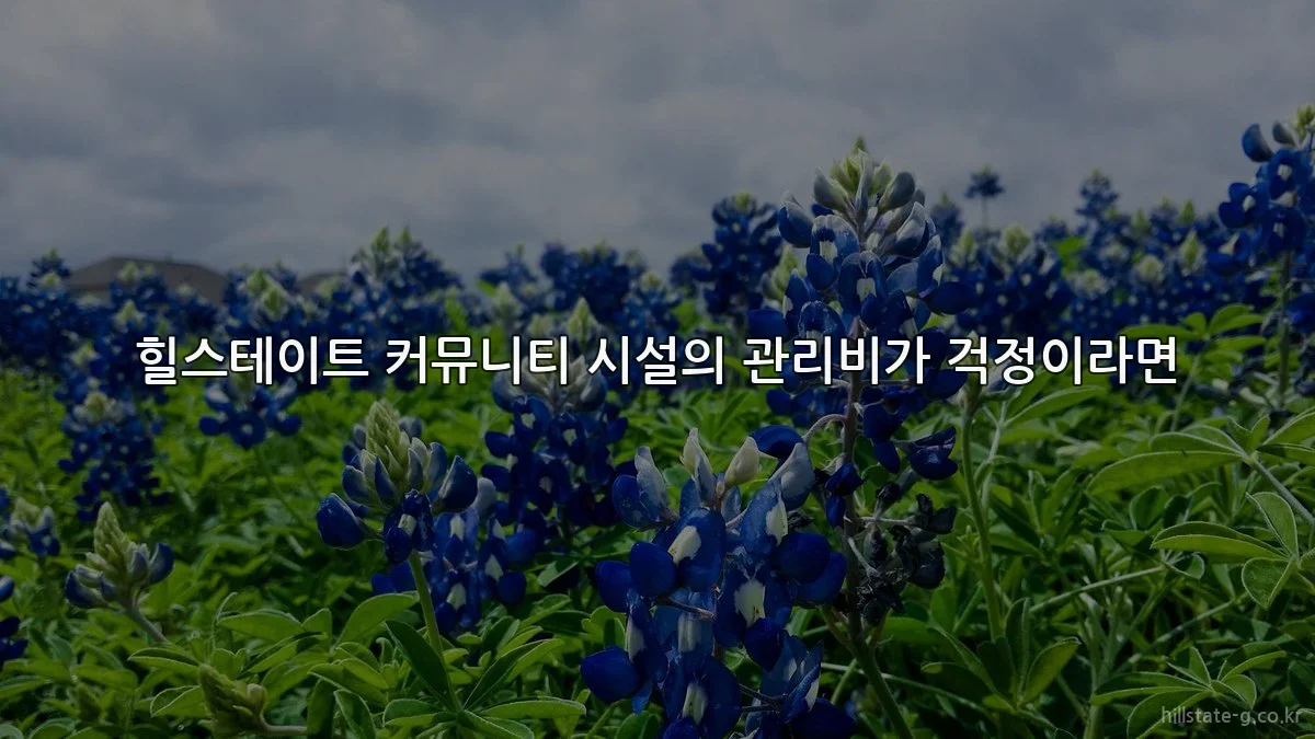 힐스테이트 커뮤니티 시설의 관리비가 걱정이라면