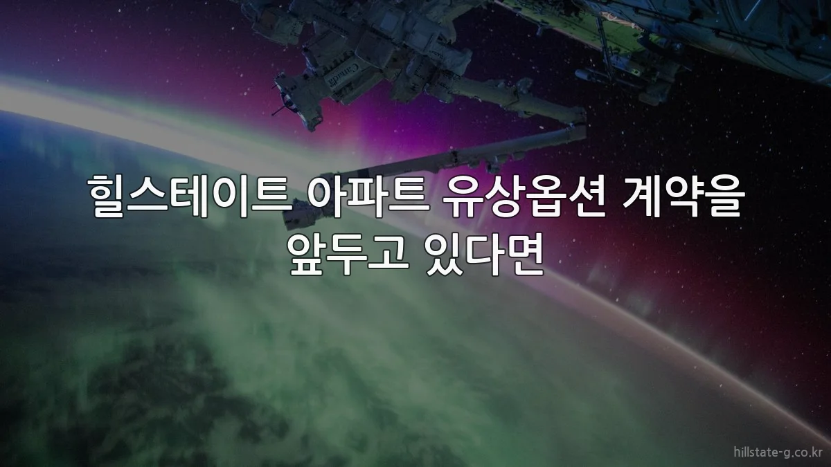 힐스테이트 아파트 유상옵션 계약을 앞두고 있다면