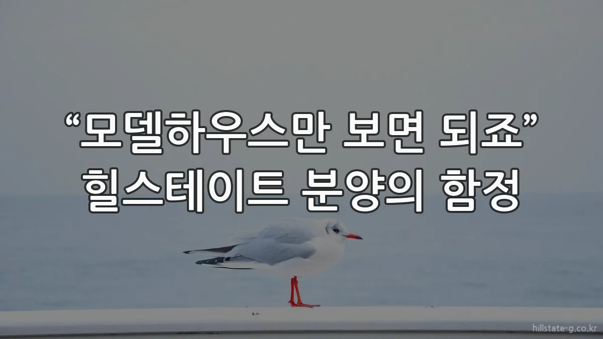 “모델하우스만 보면 되죠” 힐스테이트 분양의 함정