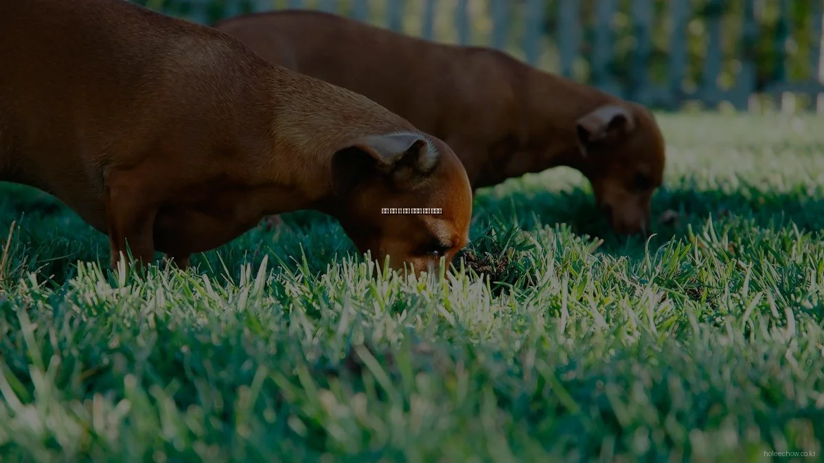 맛집 방문 시 흔한 실수와 해결 가이드