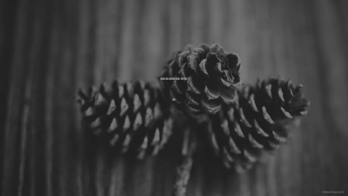 요리의 맛을 좌우하는 조미료 4종 비교 분석