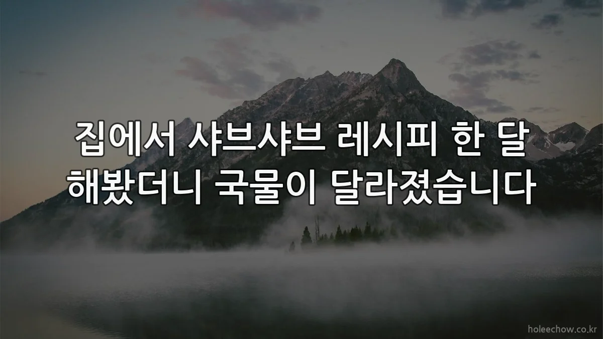 집에서 샤브샤브 레시피 한 달 해봤더니 국물이 달라졌습니다