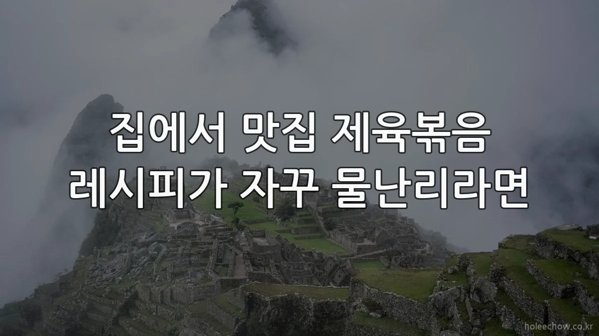 집에서 맛집 제육볶음 레시피가 자꾸 물난리라면
