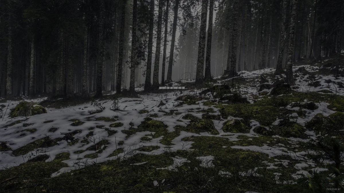 홀로라이브 팬을 위한 숨겨진 꿀팁 모음