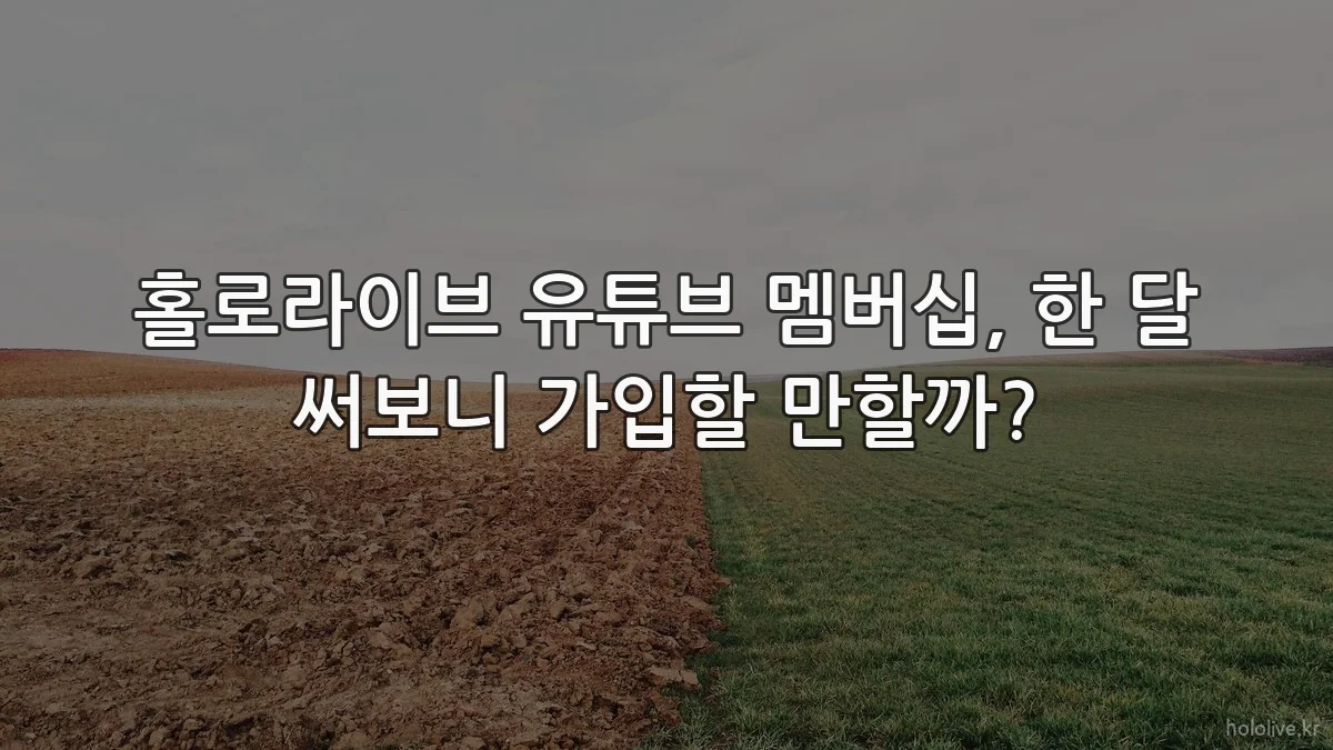 홀로라이브 유튜브 멤버십, 한 달 써보니 가입할 만할까?