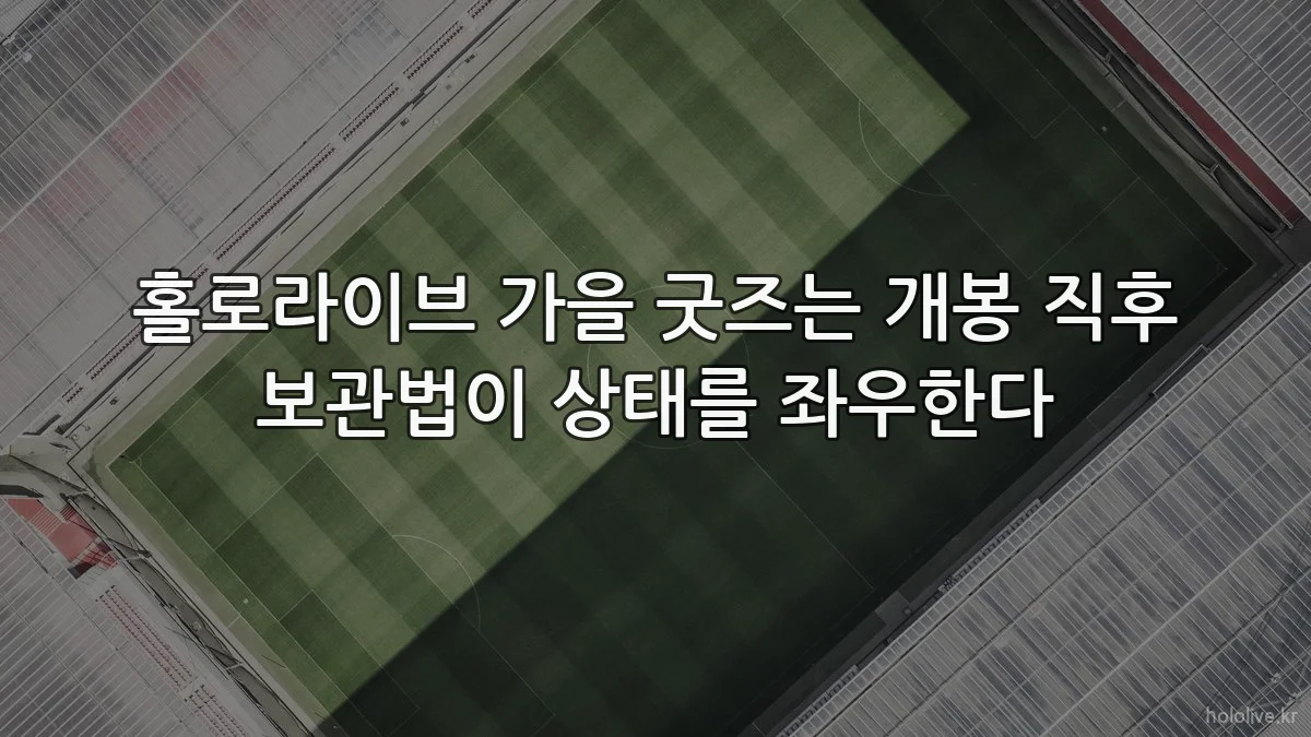 홀로라이브 가을 굿즈는 개봉 직후 보관법이 상태를 좌우한다