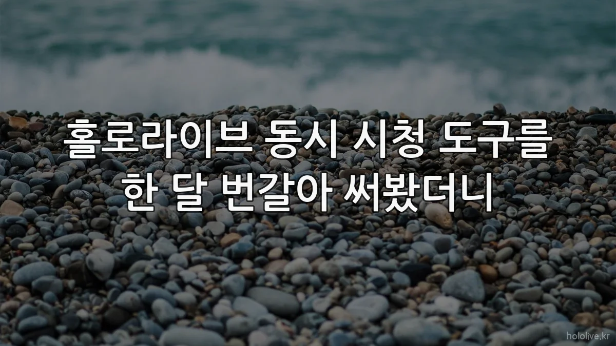 홀로라이브 동시 시청 도구를 한 달 번갈아 써봤더니