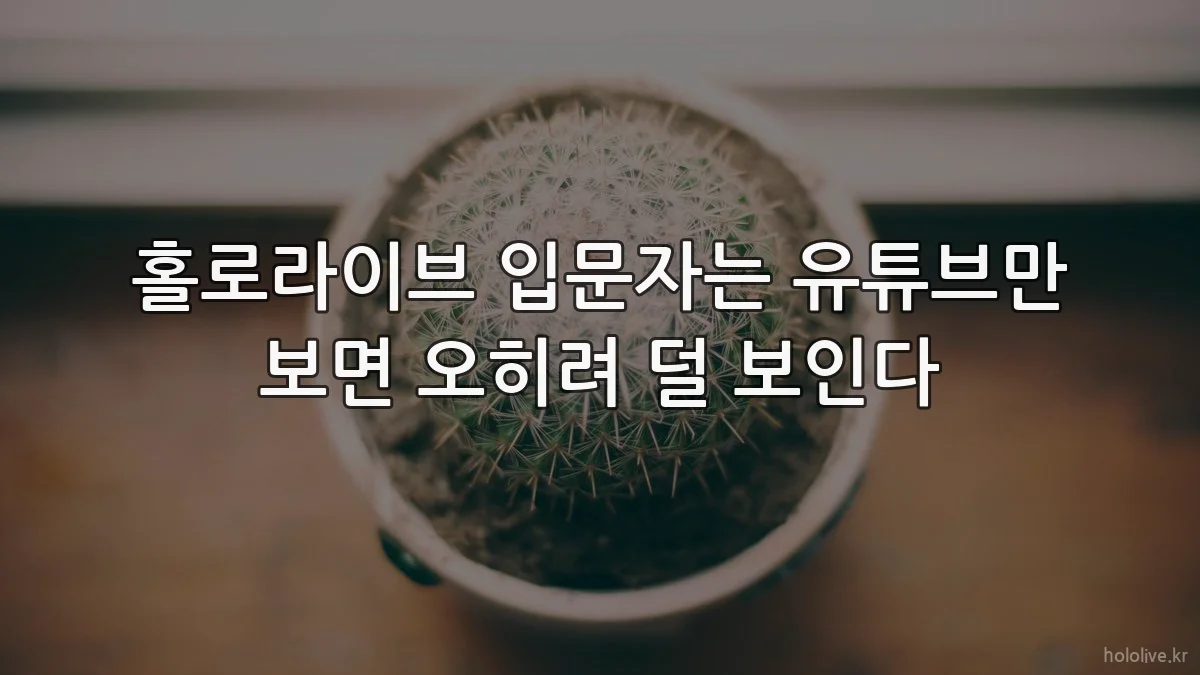 홀로라이브 입문자는 유튜브만 보면 오히려 덜 보인다