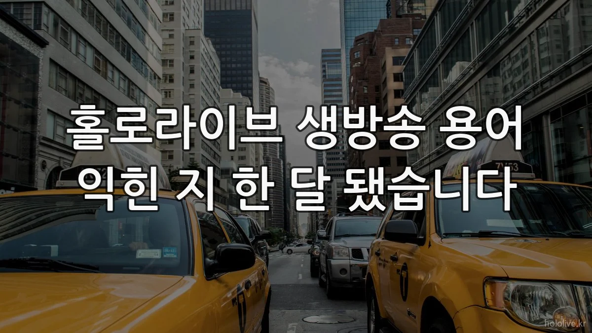 홀로라이브 생방송 용어 익힌 지 한 달 됐습니다