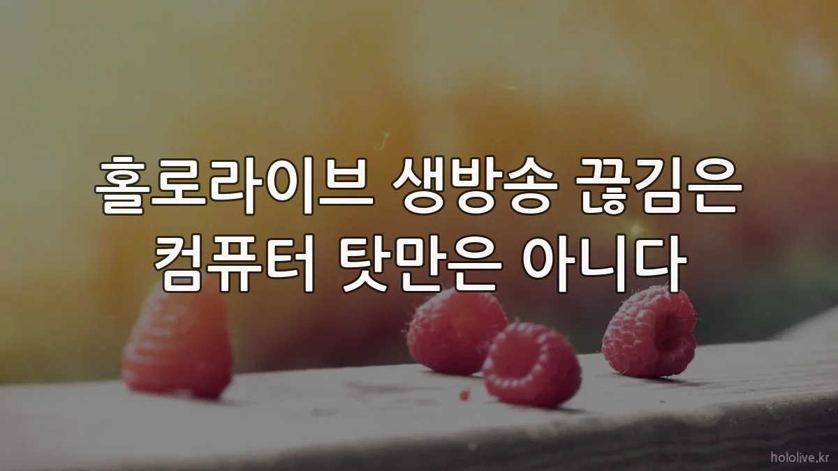 홀로라이브 생방송 끊김은 컴퓨터 탓만은 아니다