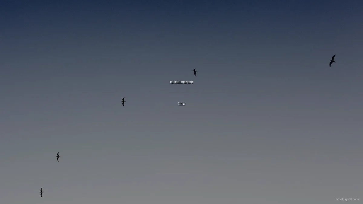 호텔 예약 앱 비교 분석: 필수 앱 3선 추천